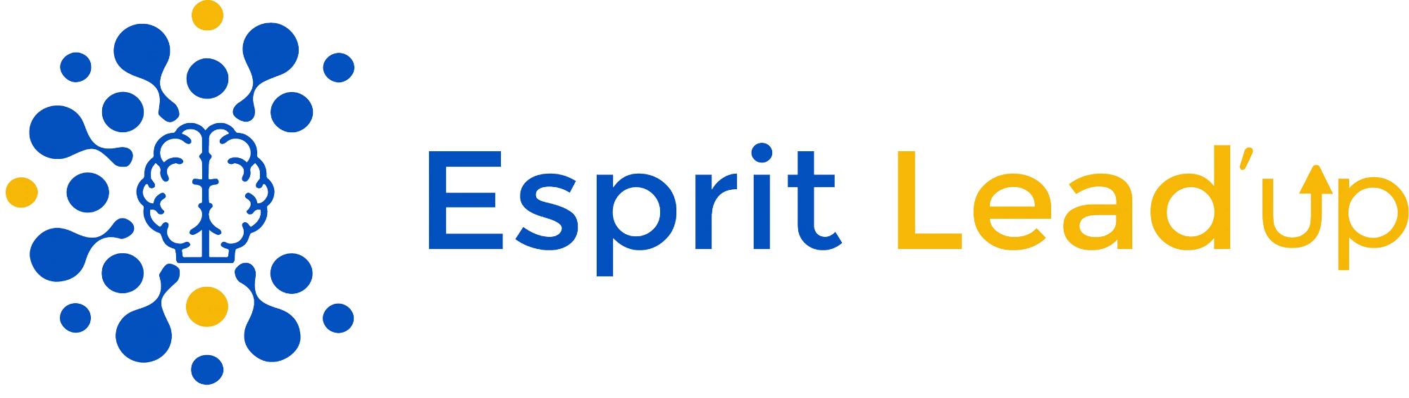 ESPRIT LEAD'UP